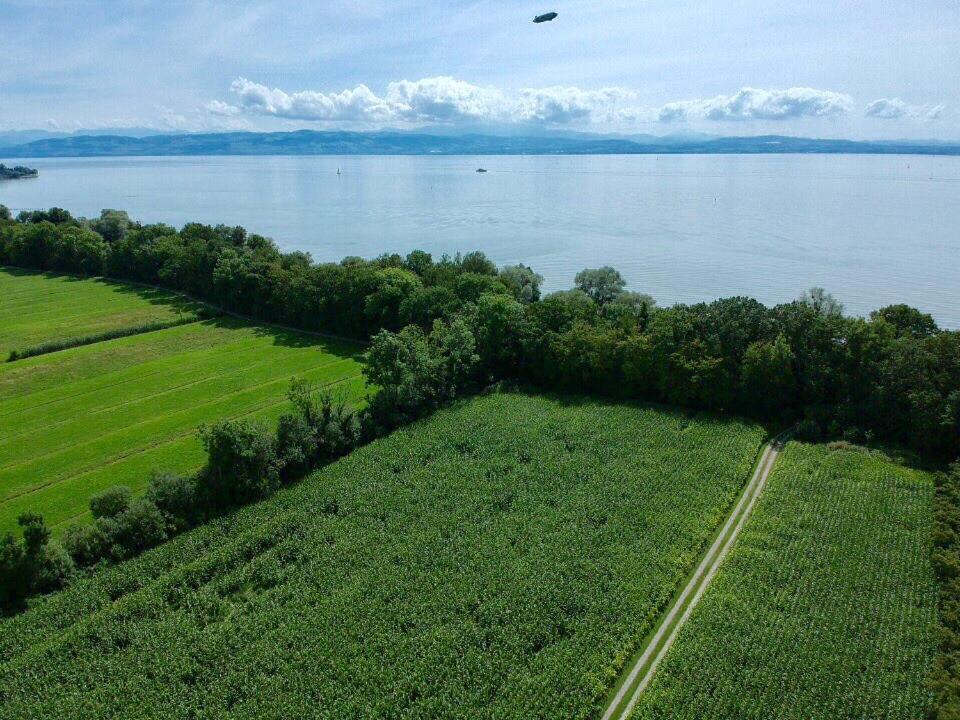 Wohlfuehlloft Seekretzer Mit Privatem Seezugang FDH Exterior foto